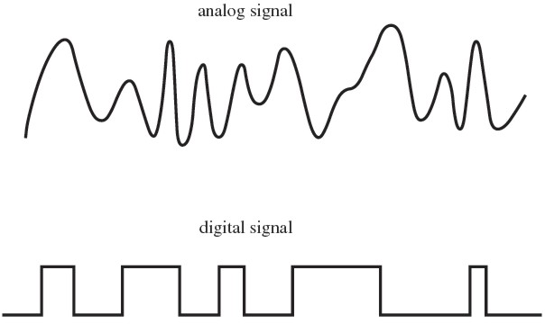 schéma signal analogue digital